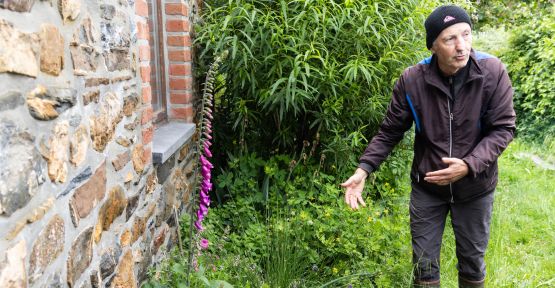 Passionné de biodiversité au jardin